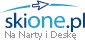 www.skione.pl