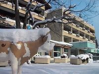 Hotel Stella in Interlaken (Schweiz)